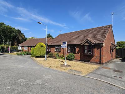 Picture 20